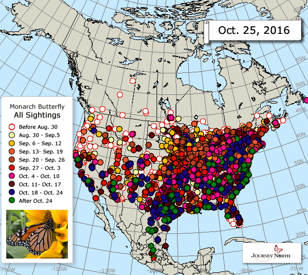 migration map - click here for the show