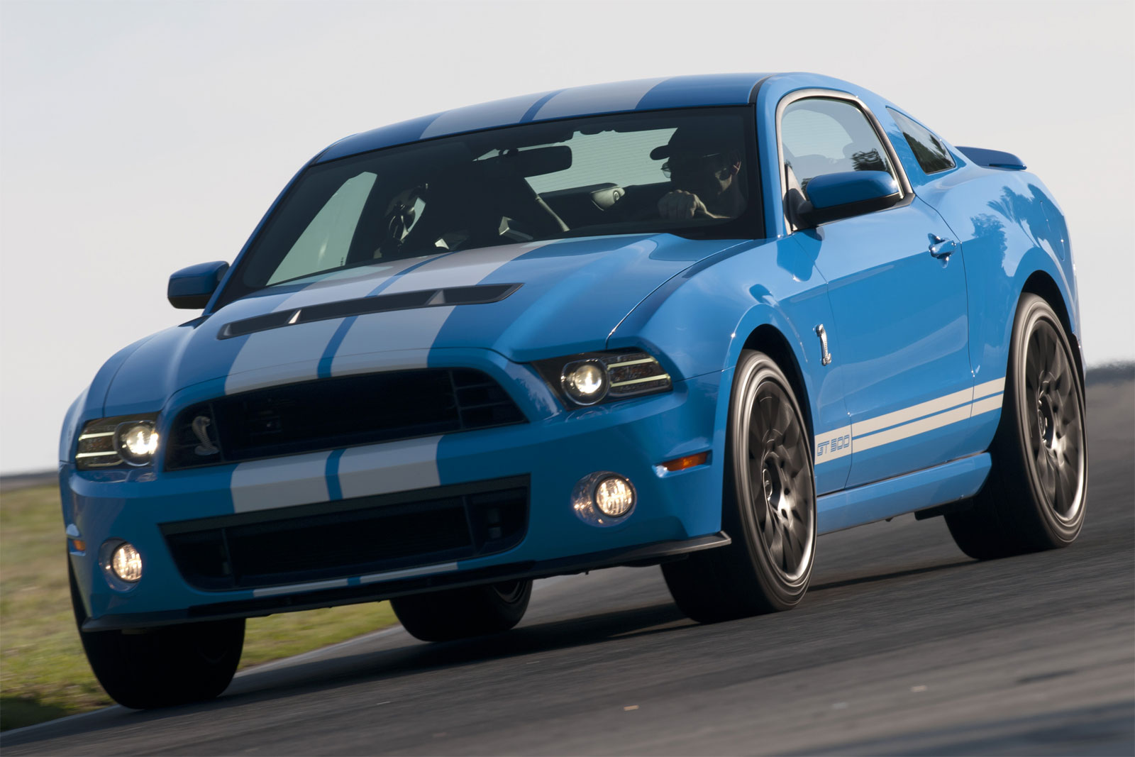 Sport Cars: Ford Shelby GT500 Hd Wallpapers 2013