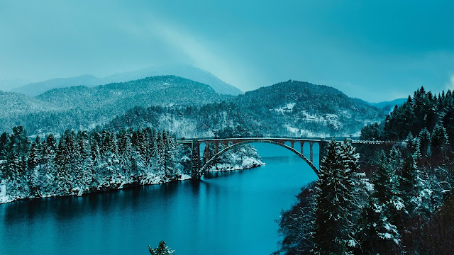 Bridge Between Lake In Forest Desktop Wallpaper