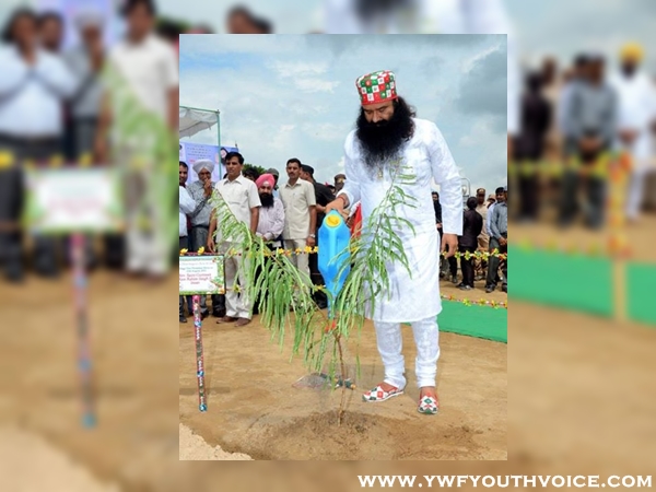 International Green Ambassador Gurmeet Ram Rahim planting tree