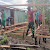 Bantu Kesulitan Rakyat, Satgas Pamtas 131/Brs Renovasi Rumah Warga di Papua
