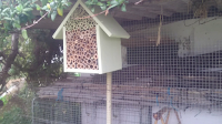 bee house