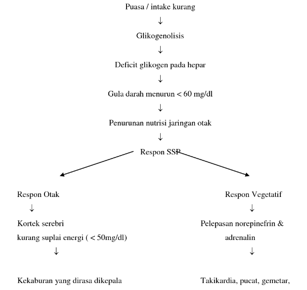 Pathway Hipoglikemia Pathway Patofisiologi