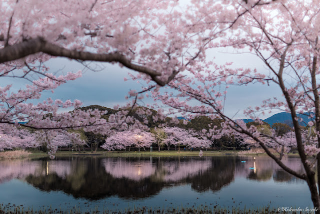 A beleza e serenidade das belas paisagens do Japão