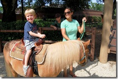 pony2 (1 of 1)
