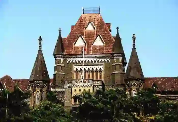 News, National, Mumbai, Bombay High, Court Verdict, POCSO,  High time India considers reducing age of consent for intercourse: HC.