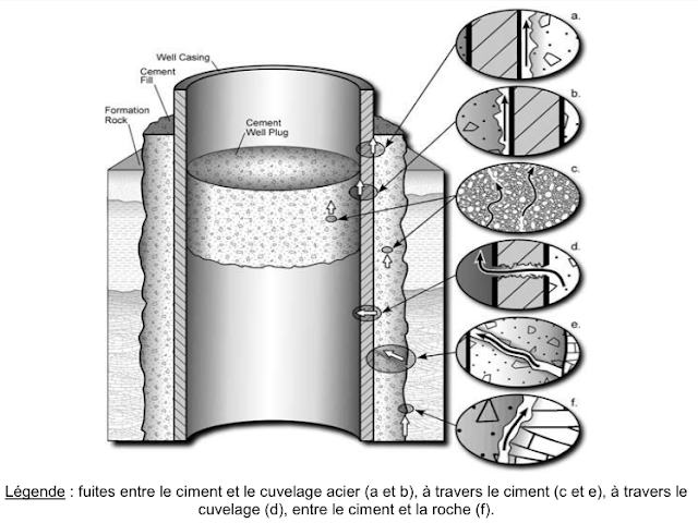 Présentation de voies de fuites dans un puits d’'injection de CO 2 abandonné (Celia et al., 2004)