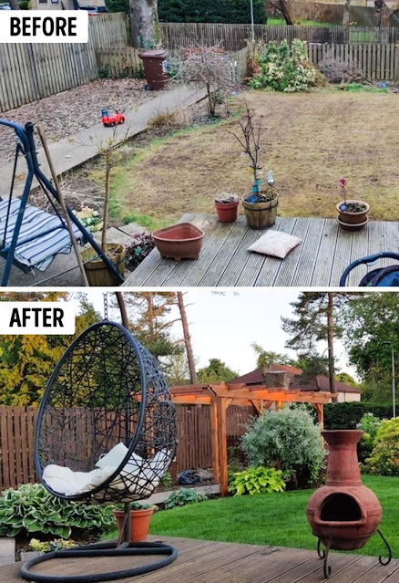 6 Photos Before and After Yard Renovations