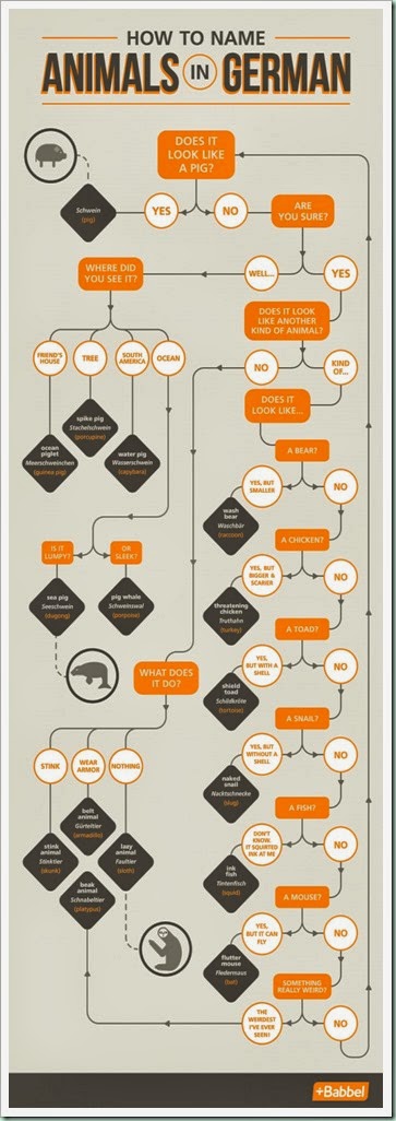 How-to-Name-Animals-in-German-685x1934