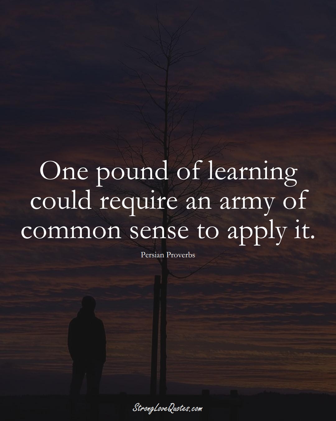 One pound of learning could require an army of common sense to apply it. (Persian Sayings);  #aVarietyofCulturesSayings