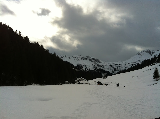 Raquetas de nieve