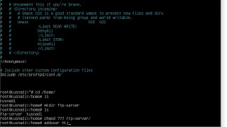 Cara Instalasi dan Konfigurasi FTP Server pada Debian 10 Buster