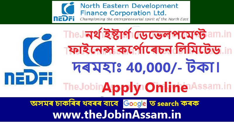 NEDFi Recruitment 2024 – 2 Assistant Designer & Marketing Executive Posts