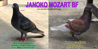 http://www.karakterdasarmakhluk.ga