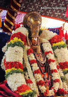 Thanga Pallakku,Udaiyavar ,Sashrabdhi Utsavam, Ramanujar,Emperumanar, Thiruvallikeni, Sri PArthasarathy Perumal, Temple, 2017, Video, Divya Prabhandam,Utsavam,