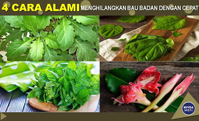 4 Cara Alami Menghilangkan Bau Badan Dengan Cepat - Blog Mas Hendra