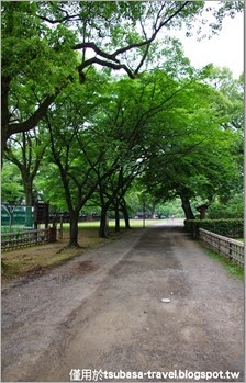 IMGP3038