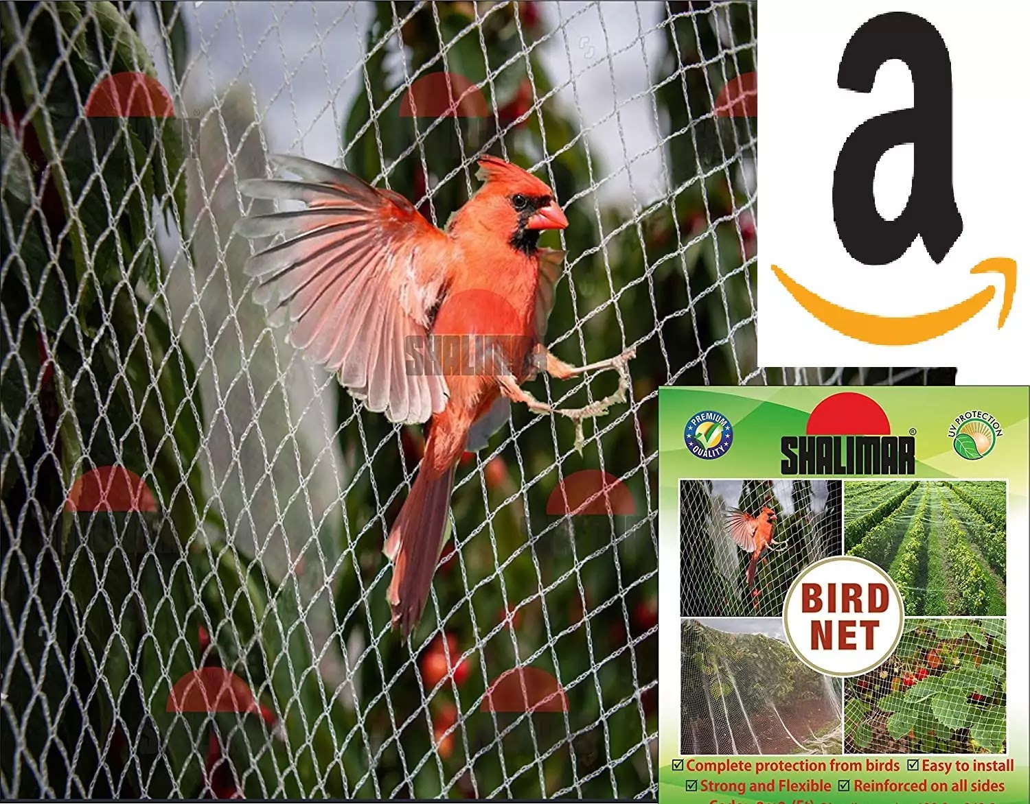 Best Bird Control 2021 Under 1400 In India