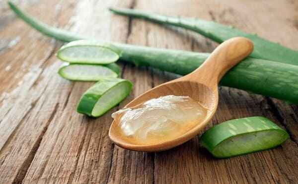 Cách trị sẹo lồi bằng nha đam hiệu quả tại nhà