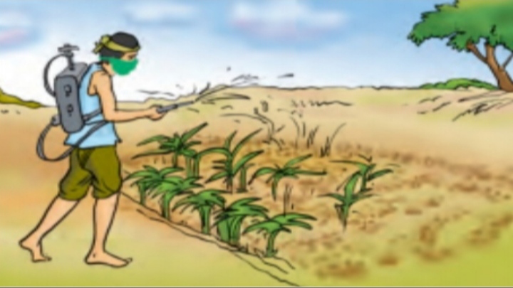 Crop Production and Management class 8 Science NCERT Solutions