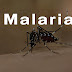 What is Malaria? Types, Symptoms, Treating, Preventing, and Protecting