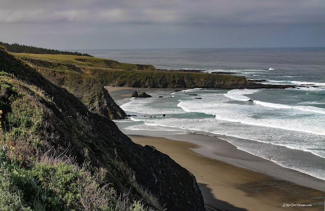 California northern coast geology travel trip roadtrip Humboldt Redwoods copyright RocDocTravel.com