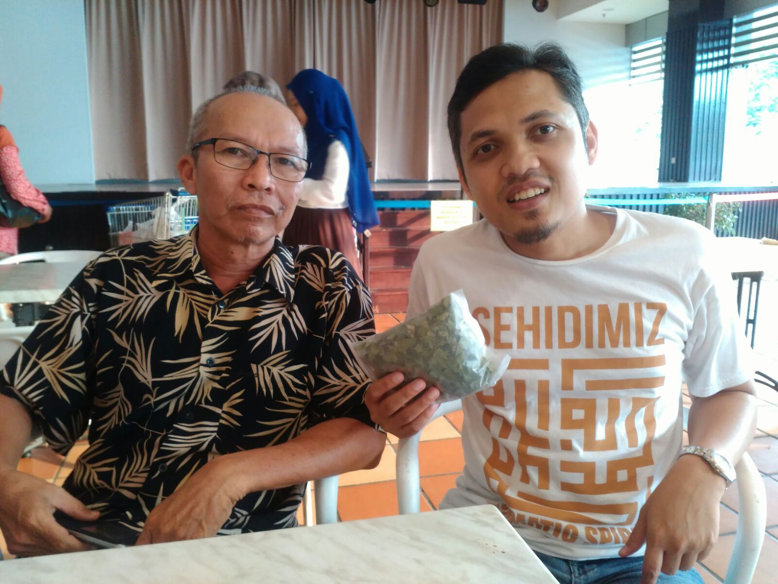 A thing to ponder: Daun Rerama Pengubat Sakit Kronik