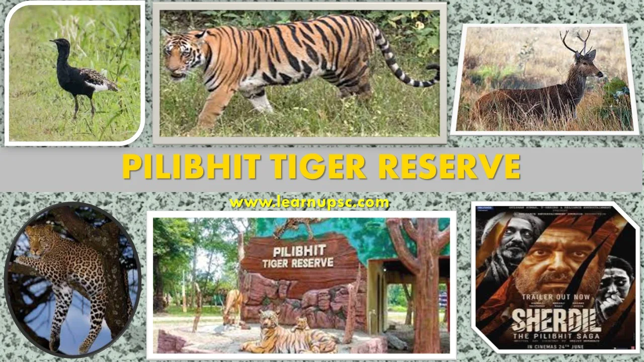 Pilibhit Tiger Reserve