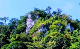 Gunung Putih Kalimantan utara