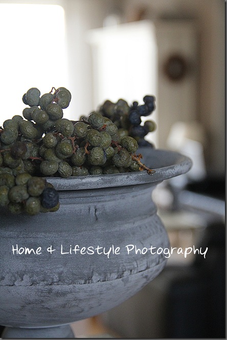 Home & Lifestyle