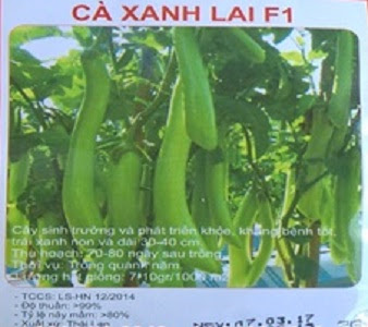 Hạt giống Cà xanh lai