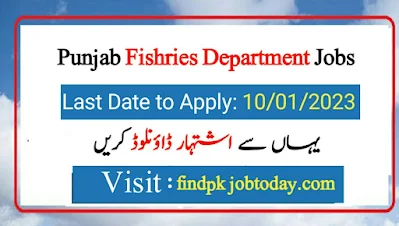 Fisheries Jobs in Punjab