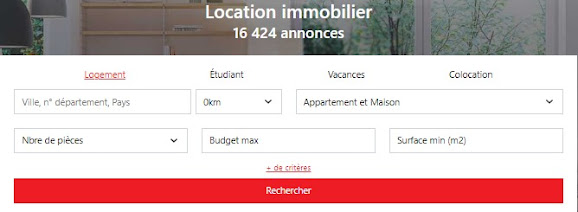 Les critères de recherche de la sous-rubrique Location