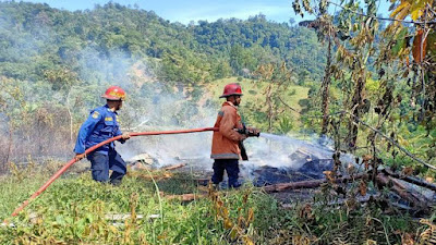 Sudah 20 Kali Terjadi Kebakaran Lahan di Padang, Warga Dihimbau Tidak Bakar Sampah