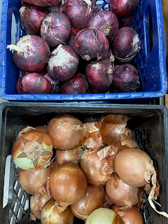 Two baskets of onions - red & yellow - with one of the yellow onions sporting the Self Help Radio logo.