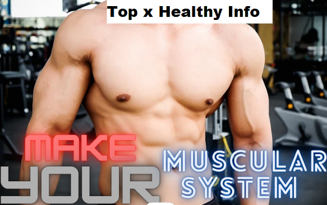 5 Best Ways to Keep Your Muscular System Strong-TopxHealthyInfo