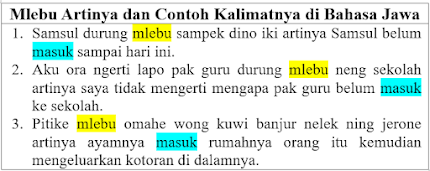 Mlebu Artinya dan Contoh Kalimatnya di Bahasa Jawa