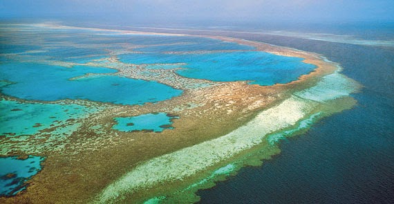 Great Barrier Reef: Kumpulan Terumbu Karang Terbesar di Dunia