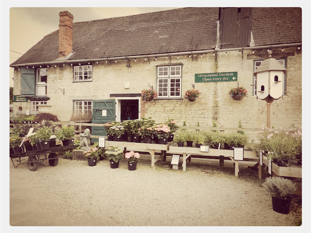 Cream Tea Queen outside the nursery