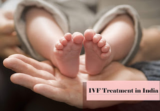 indo nippon ivf news