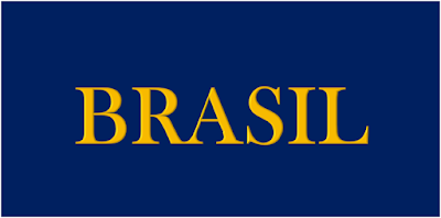 Os eleitores elegeram o pior presidente da história do Brasil. Ele é o   símbolo do atraso, das trevas, do ódio, e do revanchismo. Visivelmente mostra ser uma pessoa desequilibra, sem cultura e sem as mínimas condições para administrar o país tanto interno quanto externamente. 