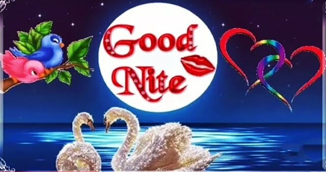 good night status video.