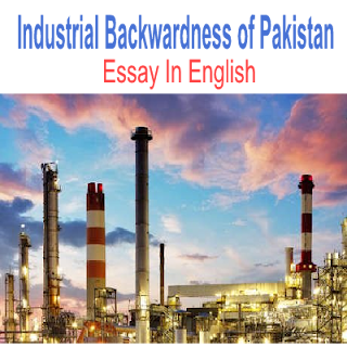 File:Industrial Backwardness of Pakistan Essay in English.svg