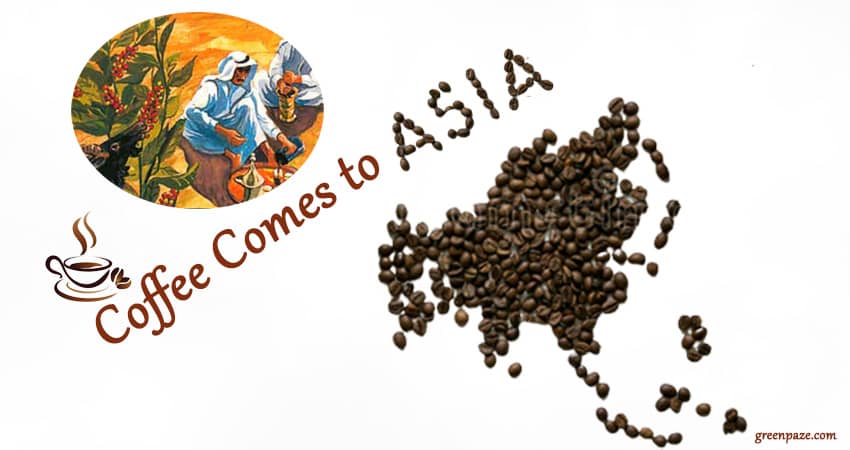asia's coffee revolution