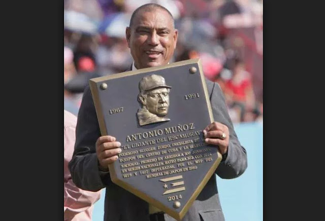 Antonio Muñoz fue uno de los primeros elegidos en la refundación del Salón de la Fama del Beisbol cubano, proyecto malogrado por un grupo de personas que nunca han visto este deporte como una parte intangible de nuestra cultura y de nuestra historia misma, y que han puesto intereses mezquinos por encima de los valores de nuestro pasatiempos nacional.