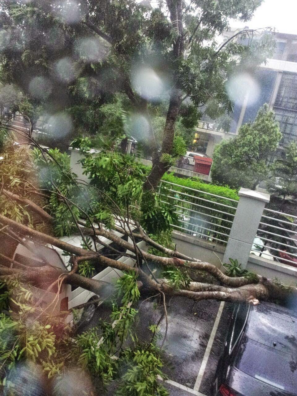 Ribut Taufan di Bukit Jelutong, Shah Alam, Ribut Kencang di Bukit Jelutong, Shah Alam, Ribut Taufan September 2014, Ribut Taufan Di Selangor, Sejarah Taufan Di Malaysia