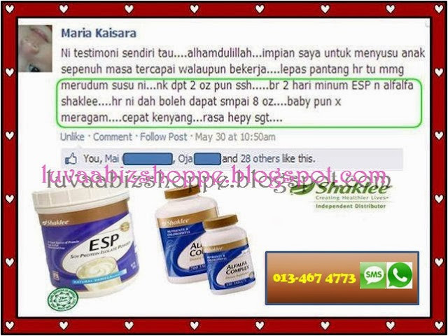 SET MILKBOOSTER SHAKLEE