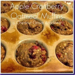 muffins