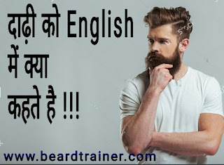 Beard Meaning In English
