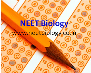 NEET Biology Questions 2018